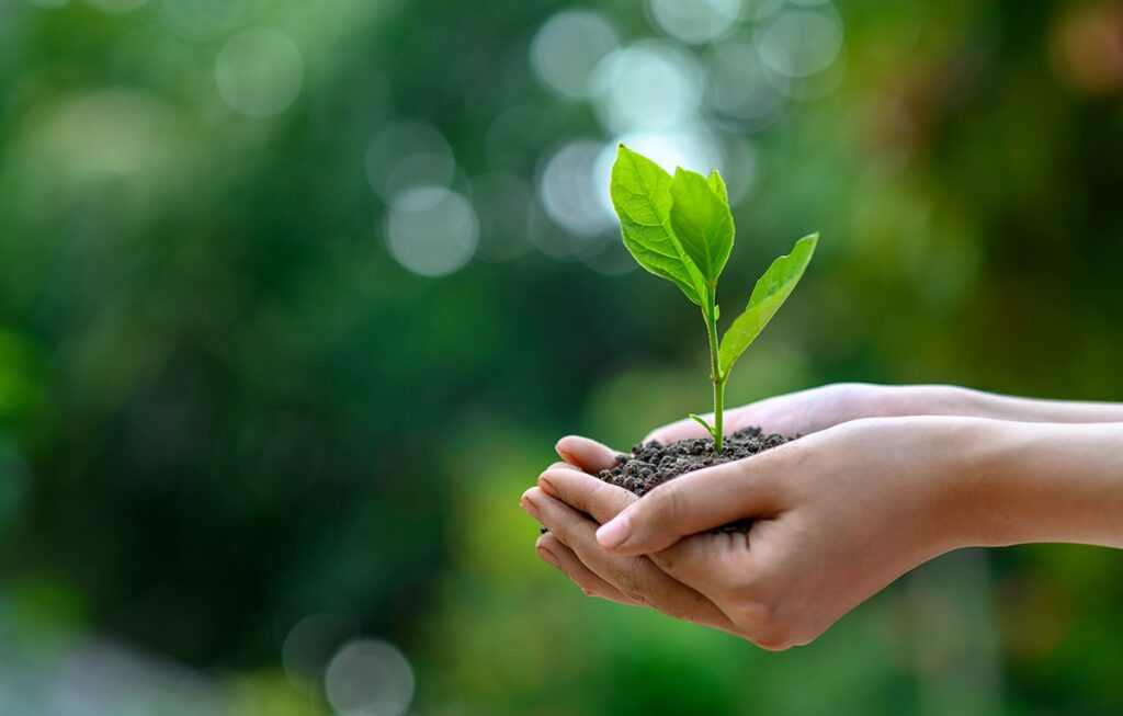 Curso de Avaliação de Impactos Ambientais