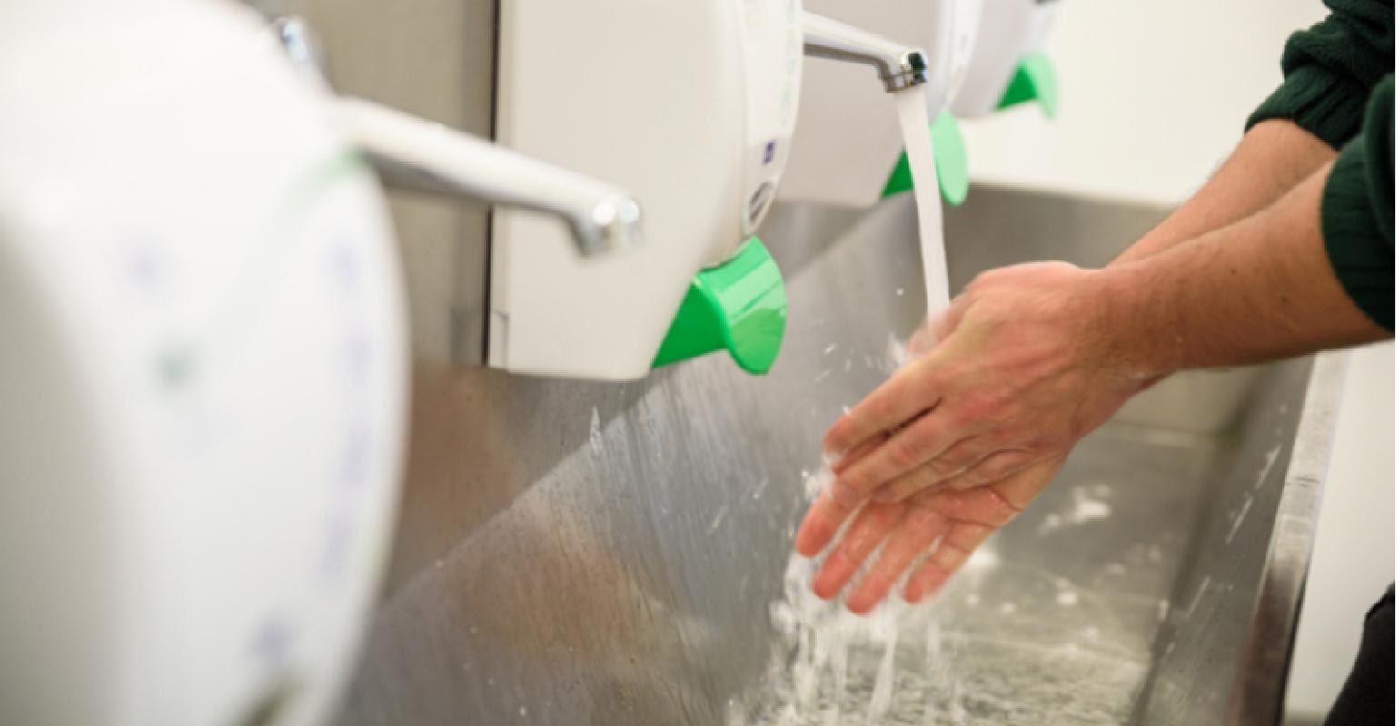 Curso de Boas Práticas de Higiene e Conservação